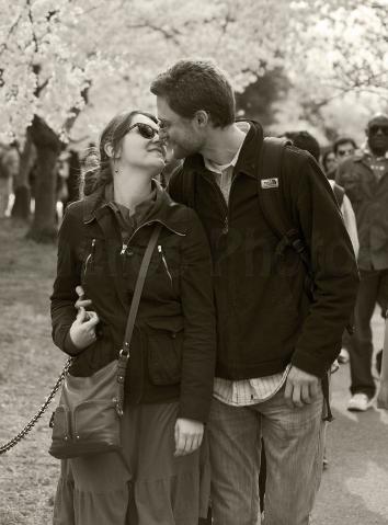 Couple Kissing While Walking & Enjoying The Cherry Blossom