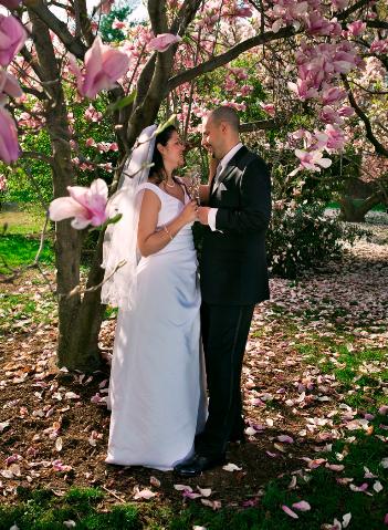 Wedding - Zagros Photos