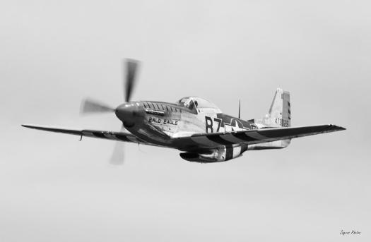 P-51D Mustang 